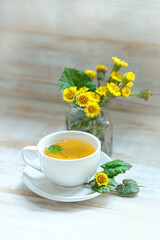 Fresh spring coltsfoot flowers and glass tea cup on white rustic wooden table. Healing herbal infusion with medicinal plant Coltsfoot (Tussilago farfara)