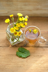 Fototapeta na wymiar Fresh spring coltsfoot flowers and tea cup on wooden table. Healing herbal infusion with medicinal plant Coltsfoot (Tussilago farfara). 