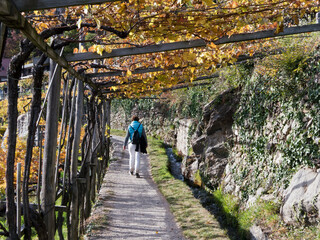 wandern am waalweg im vinschgau (südtirol )