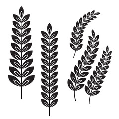 Laurel branch with leaves, set, vector illustration