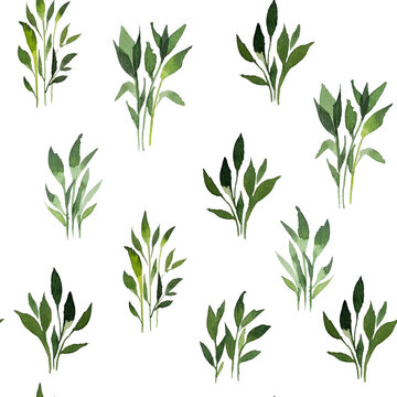 Set of watercolor design elements of the garden rose collection dark blue flowers, leaves, green branches, botanical illustration, isolated on a transparent background
