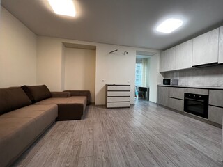 living room interior with grey kitchen