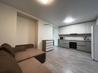 living room interior with grey kitchen