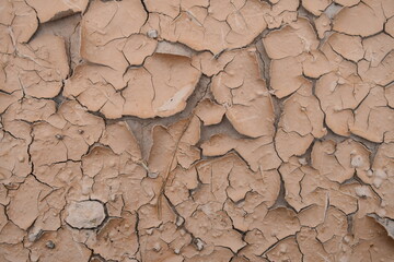 desert area. Hot area. Dry area.