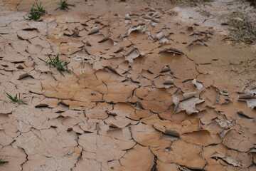 desert area. Hot area. Dry area.