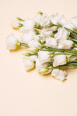 Obraz na płótnie Canvas bouquet of white roses on beige background