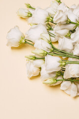 bouquet of white flowers on simple light background