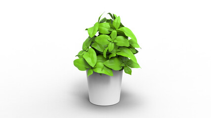 money plant with pot with shadow 3d render