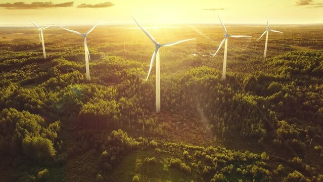 Wind turbines grow and generating electricity. Sunset with beautiful organic animation, the concept of ecology and conservation. Clean power generation.