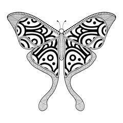 vector butterfly black and white element line art print design