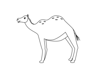 Cute funny camel, vector illustration of cartoon desert animal. Coloring book on isolated white background.