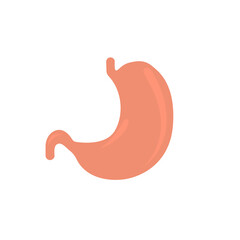 Icons stomach, on a white background, healthy body, vector illustration