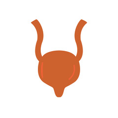 bladder icon on white background, vector illustration