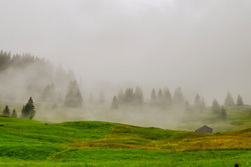 Grindelwald, First, Bort, Wanderweg, Alm, Holzh&auml;user, Alpen, Bergwiesen, Bergbauer, Berner Oberland, Sommer, Morgennebel, Unwetter, Schweiz
