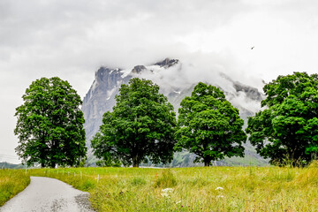 Grindelwald, Wetterhorn, Grosse Scheidegg, Schreckfeld, First, Oberer Grindelwaldgletscher, Berner...