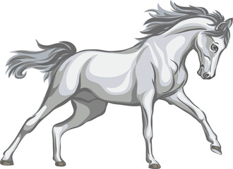 Naklejka na ściany i meble Horse, image of a galloping horse, portrait of a horse for a logo in grey tones