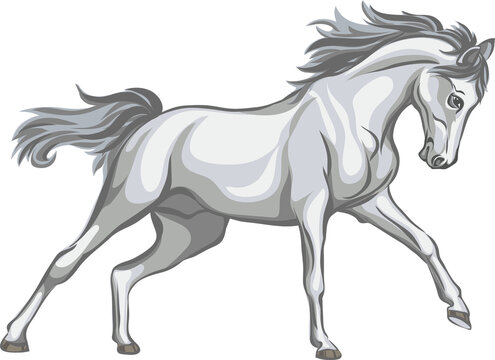 Horse, image of a galloping horse, portrait of a horse for a logo in grey tones