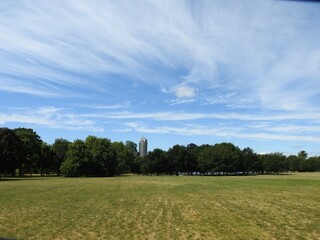 A view of a huge green park area with trees and buildings