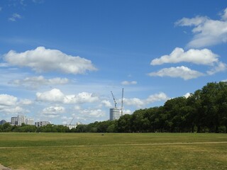 A view of a huge green park area with trees and buildings