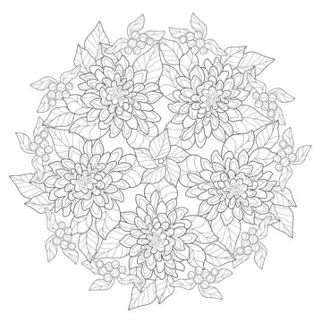Decorative mandala with flowers and leaves on a white isolated background. For coloring book pages.