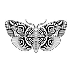 vector butterfly black and white element line art print design