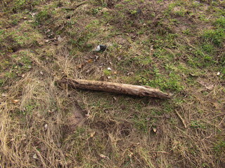 Holzst&uuml;ck am Boden