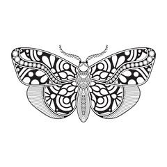 Naklejka na ściany i meble vector butterfly black and white element line art print design
