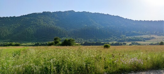 landscape with mountains