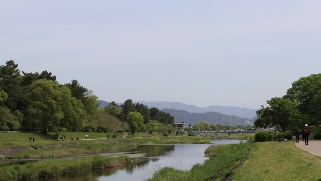 日本の新緑の季節の京都賀茂川の風景・人々・水鳥
