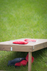 Cornhole board with corn bags