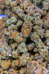 marijuana flower bud background, medical cannabis