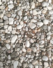 Pebble beach. Seashore with large boulders. Natural background, stone organic texture. - 487770049