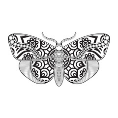 vector butterfly black and white element line art print design