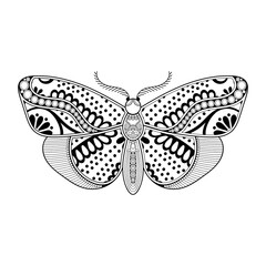 vector butterfly black and white element line art print design
