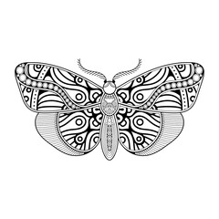 vector butterfly black and white element line art print design
