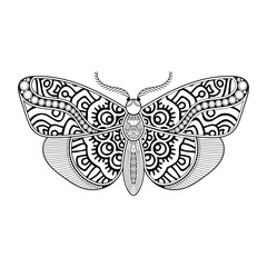 vector butterfly black and white element line art print design