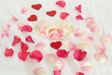 Rose petals on white bedding on the bed for Valentine's Day