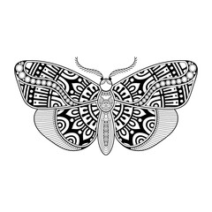 vector butterfly black and white element line art print design