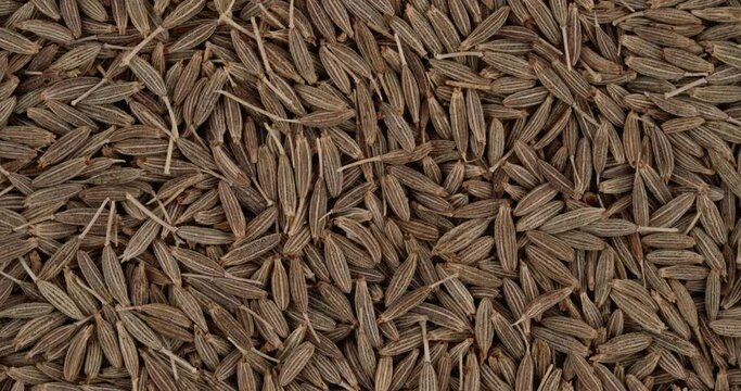 Top view of cumin seeds rotating. Closeup. Macro.