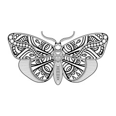 vector butterfly black and white element line art print design