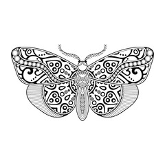 vector butterfly black and white element line art print design