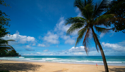 Obraz na płótnie Canvas Nature landscape view of beautiful tropical beach and sea in sunny day. Beach sea space area