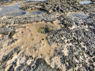 The coast of the Mediterranean Sea, clear water, long-hardened lava, in the recesses of which there is sea water. Background. It looks like an alien landscape.