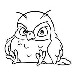 Owl bird illustration cartoon contour line