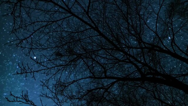 冬の星空