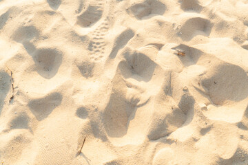 Fine beach sand in the summer sun
