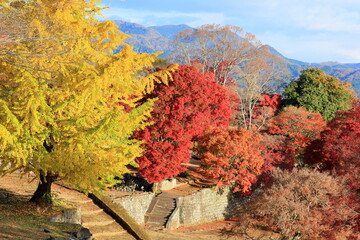城跡の紅葉