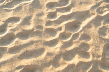 Sand texture background. Top view