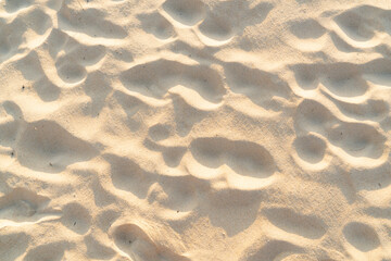 Sand texture background. Top view