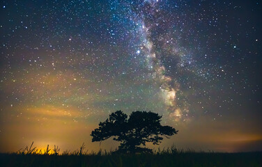 Fototapeta na wymiar Night sky aesthetics, night sky stars with old oak tree in the background, beautiful night view at a roadtrip